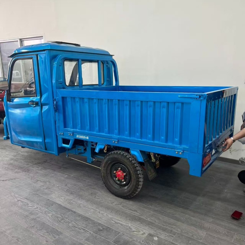 Sepeda Motor Roda Tiga Kargo L - Electric Scooter Adults ulasan dan harga